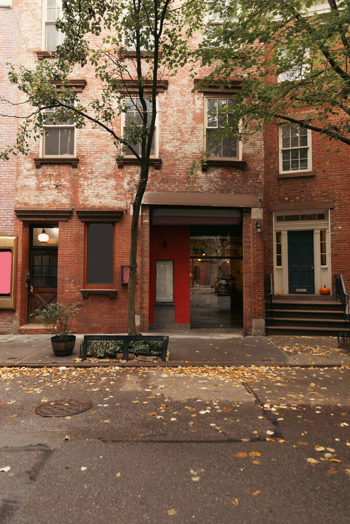 Kaatuneet lehdet tiellä kaupunkien kadulla New Yorkissa - Valokuva, kuva