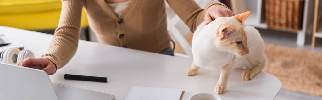 Oříznutý pohled textaře mazlícího orientální kočku u notebooku doma, prapor  - Fotografie, Obrázek