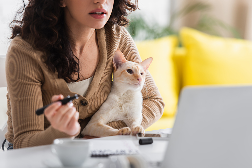 Cropped view of copywriter holding oriental cat and marker near laptop at home  - Fotografie, Obrázek