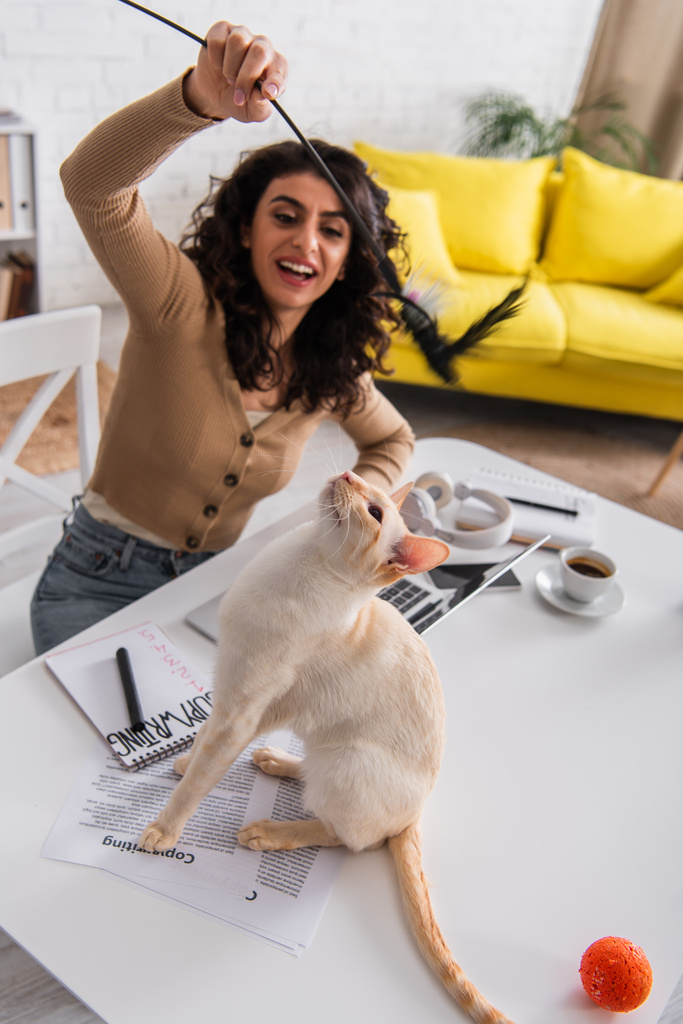 Blurred freelancer playing with oriental cat near documents and devices on table at home  - 写真・画像