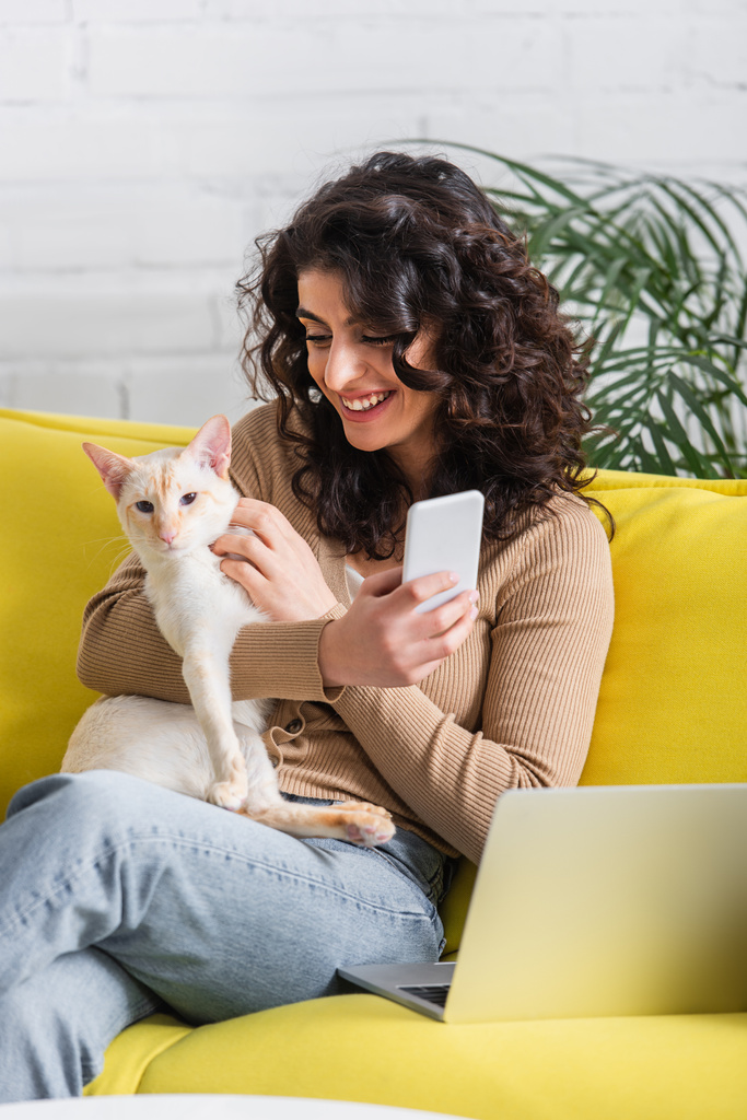 Smiling copywriter holding cellphone and oriental cat near laptop on couch  - 写真・画像