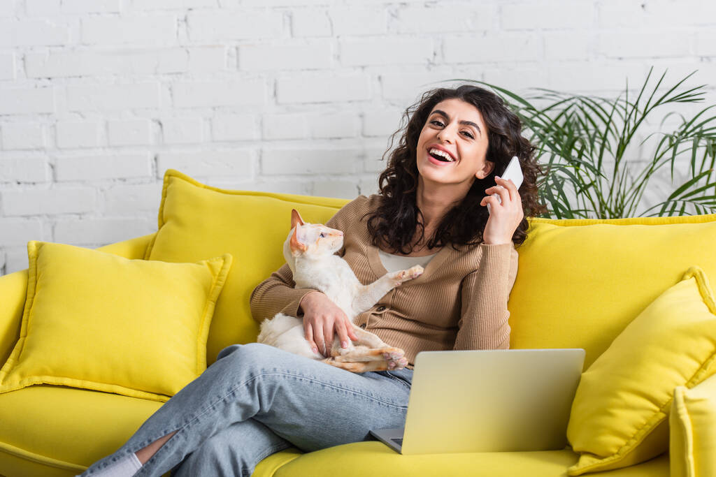 ソファの上でラップトップの近くにスマートフォンや東洋猫を保持している陽気なフリーランサー  - 写真・画像