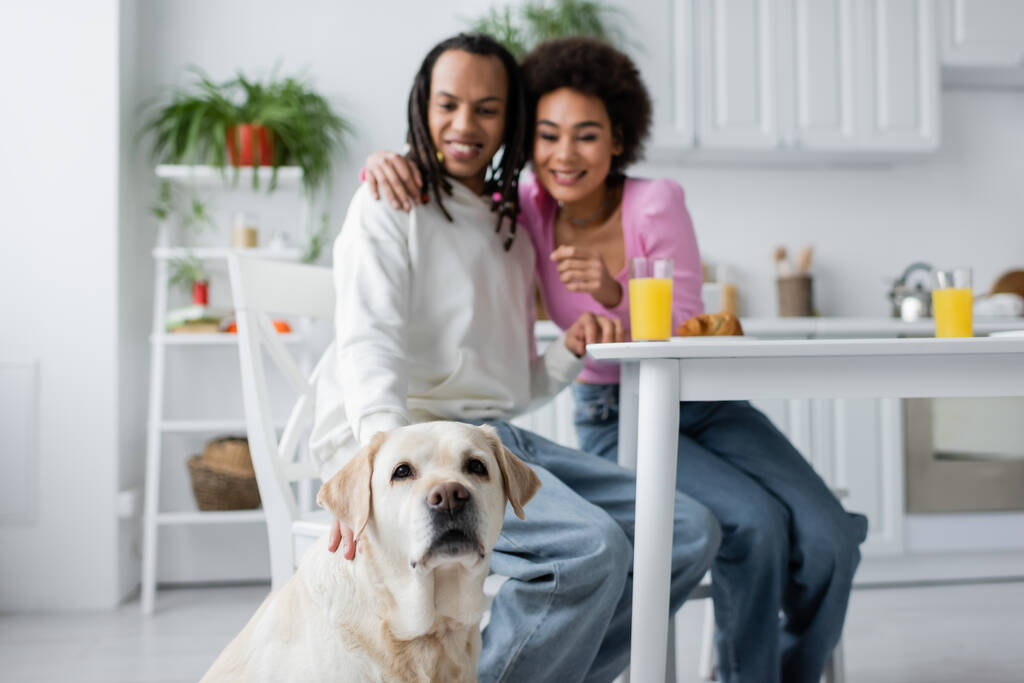 Blurred african american couple looking at labrador dog in kitchen  - 写真・画像