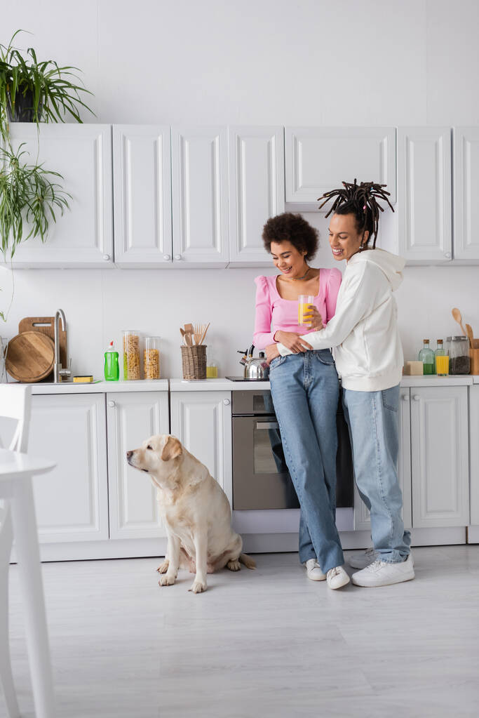 Smiling african american couple with orange juice looking at labrador in kitchen  - Foto, Imagem