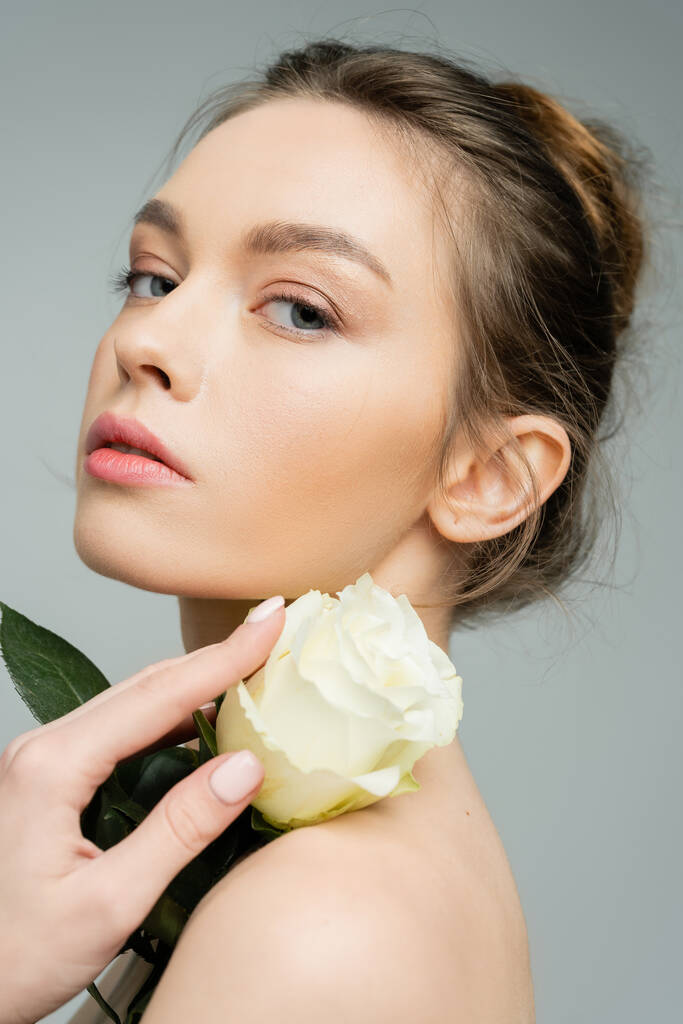 young sensual woman looking at camera and holding ivory rose near bare shoulder isolated on grey - Zdjęcie, obraz