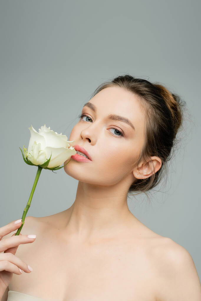 urocza kobieta z nagimi ramionami i naturalny makijaż gospodarstwa białą różę w pobliżu ust odizolowanych na szaro - Zdjęcie, obraz