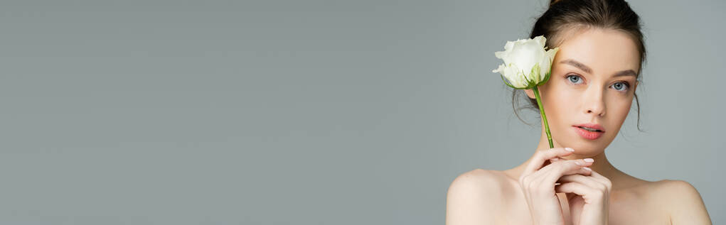 mulher encantadora com pele perfeita e ombros nus segurando rosa branca isolada em cinza, banner - Foto, Imagem
