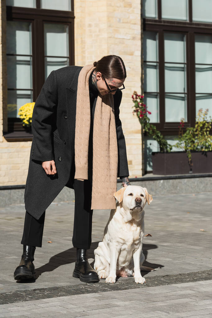 full length of happy young man in coat and stylish sunglasses cuddling labrador on urban street  - Foto, immagini