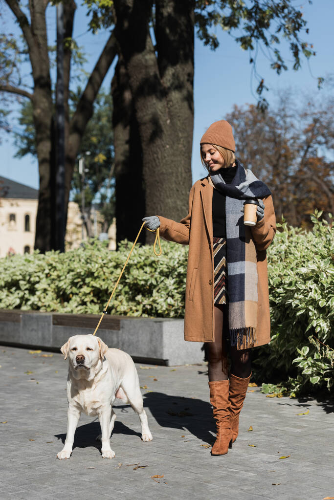 volledige lengte van vrolijke vrouw in hoed en jas met papieren beker tijdens het wandelen met labrador hond  - Foto, afbeelding