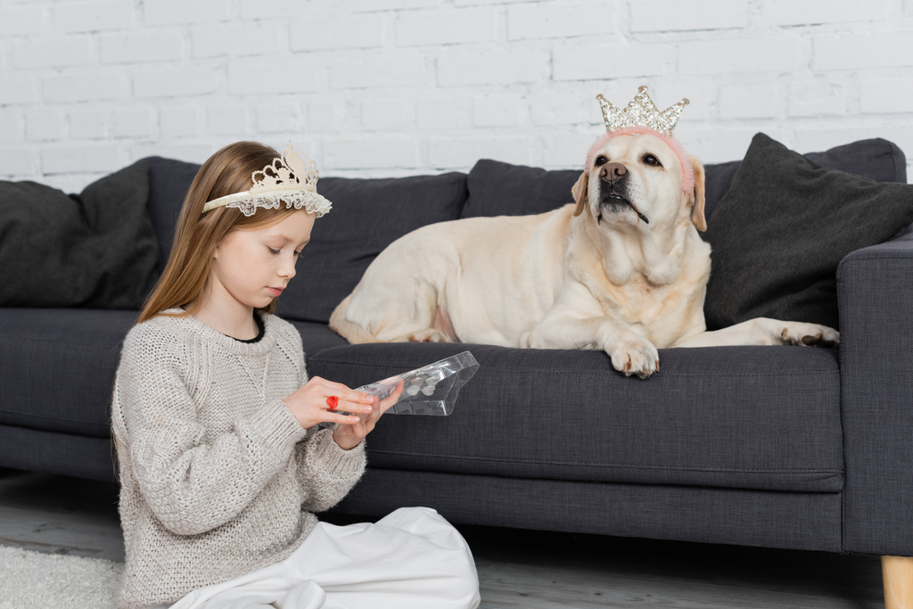 preteen girl in crown looking at makeup palette while sitting near labrador on couch  - 写真・画像