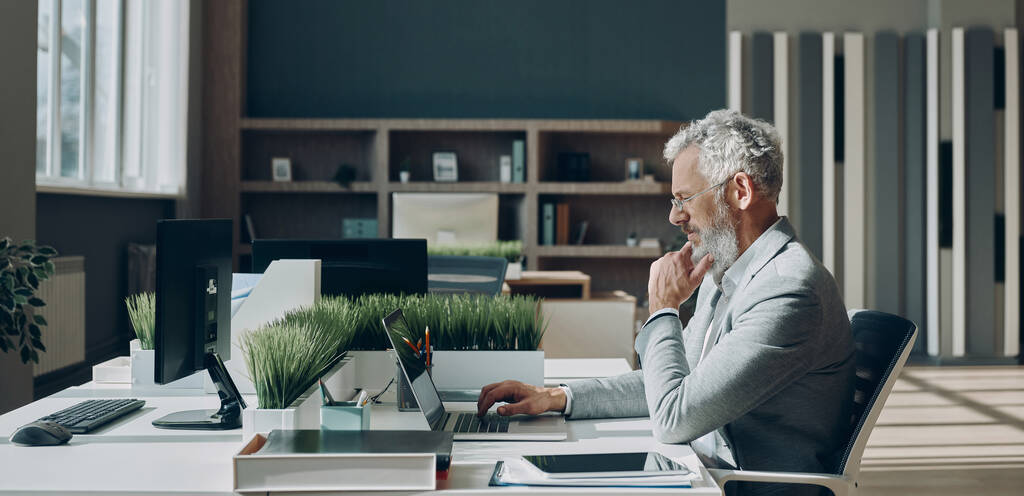 Homem de negócios maduro concentrado trabalhando no laptop enquanto sentado em seu local de trabalho no escritório - Foto, Imagem