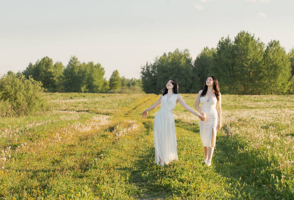 дві молоді красиві дівчата в білих сукнях для прогулянки
 - Фото, зображення