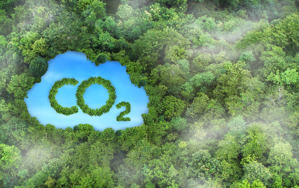 Konzept, das das Problem der Kohlendioxidemissionen und ihre Auswirkungen auf die Natur in Form eines Teiches in Form eines CO2-Symbols in einem üppigen Wald darstellt. - Foto, Bild