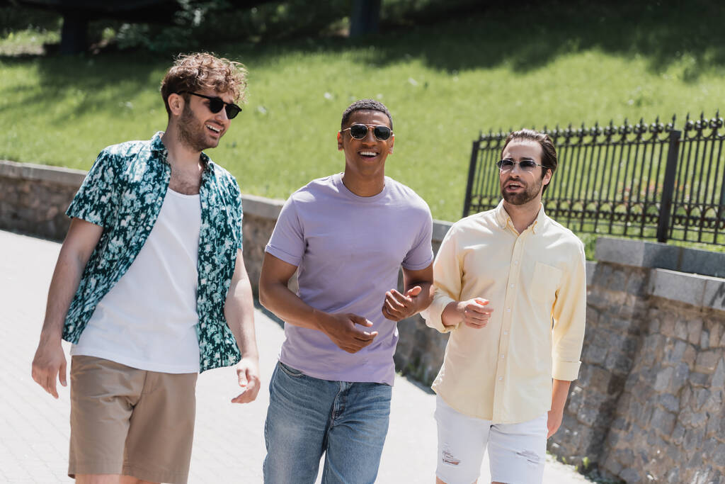 Iloinen rotujenvälinen miesten aurinkolasit kävely kesäpuistossa  - Valokuva, kuva