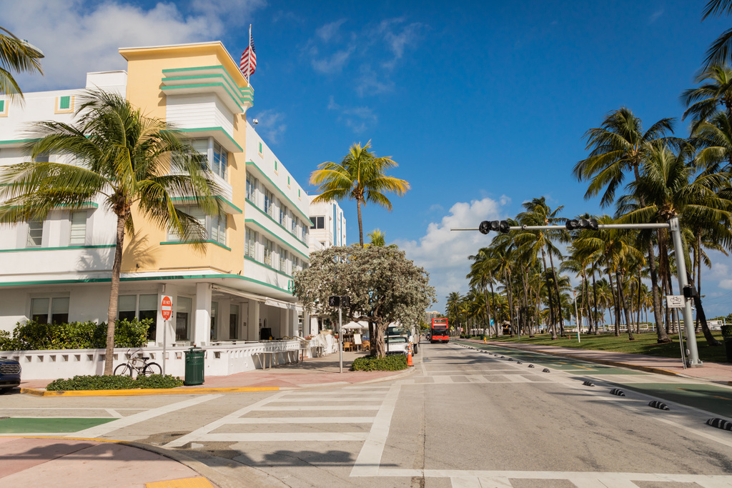 groene palmbomen groeien naast de weg en modern gebouw in Miami  - Foto, afbeelding
