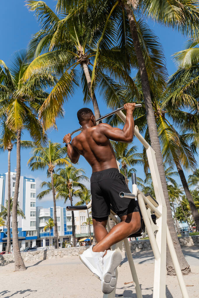 back view of shirtless african american sportsman in shorts doing pull ups in Miami  - Photo, Image