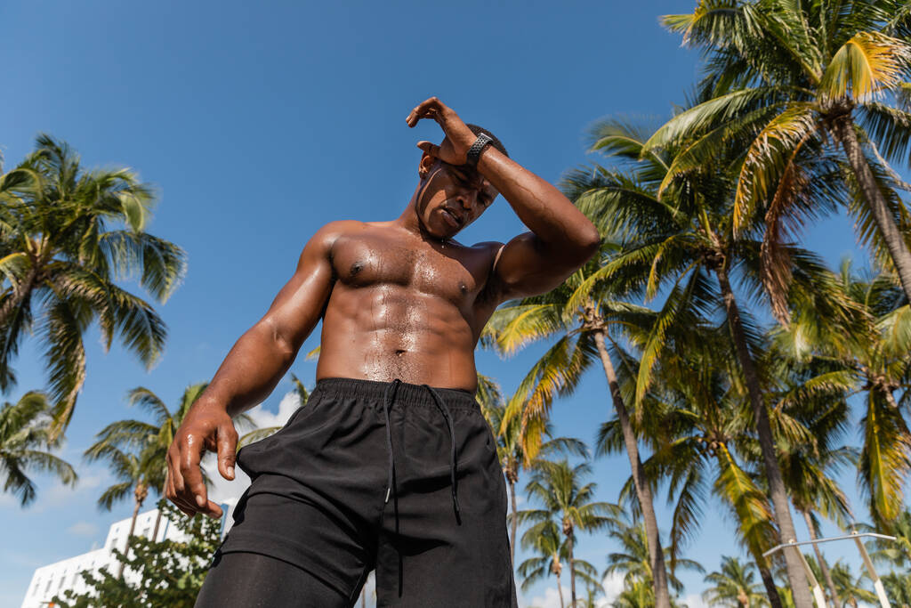низький кут зору спітнілого афроамериканського спортсмена в шортах, що стоять поруч із зеленими пальмами після тренування в Маямі  - Фото, зображення
