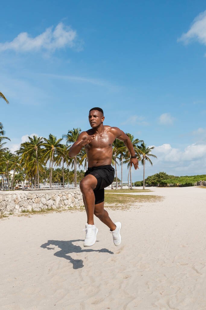 マイアミビーチのヤシの木の隣で砂の上を走るショートパンツとスニーカーのアフリカ系アメリカ人男性 - 写真・画像