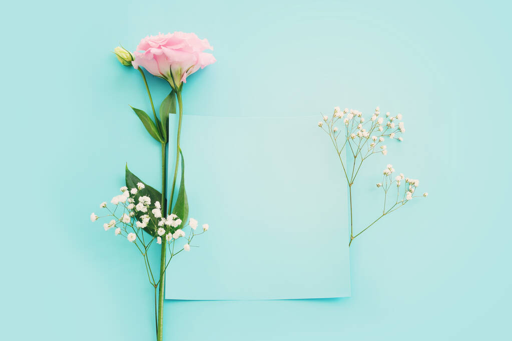 Вид зверху зображення тонкої квітки лізіантуса на пастельному синьому фоні
 - Фото, зображення