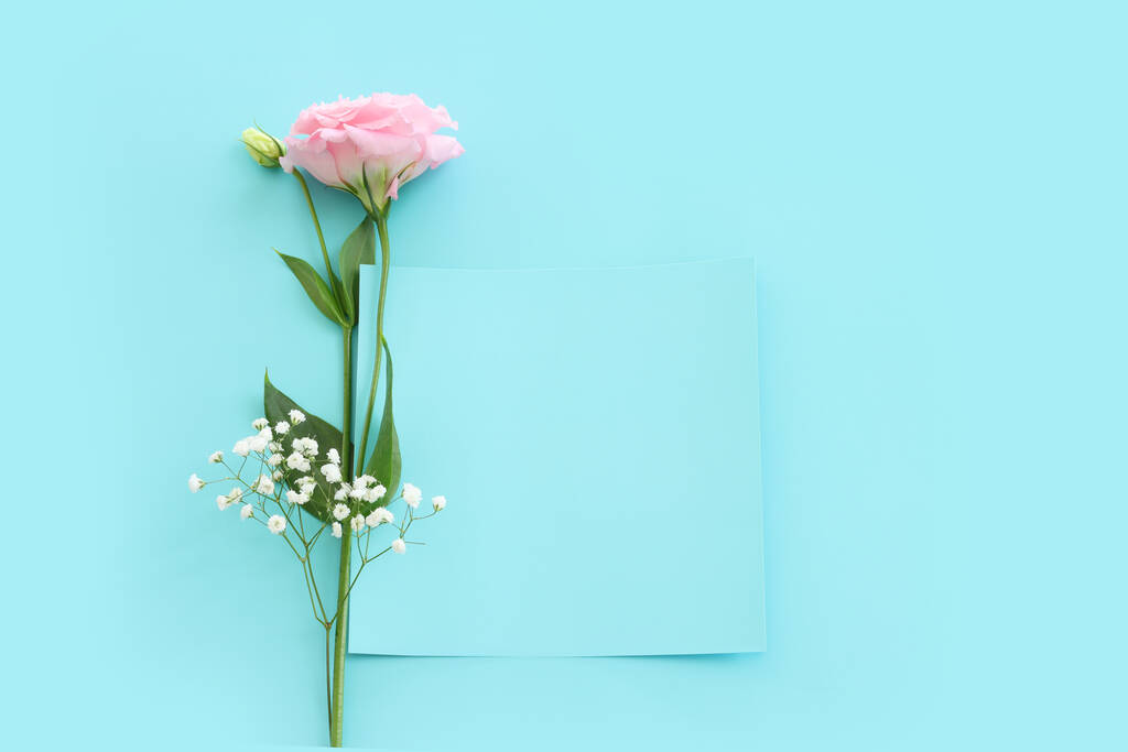 Вид зверху зображення тонкої квітки лізіантуса на пастельному синьому фоні
 - Фото, зображення