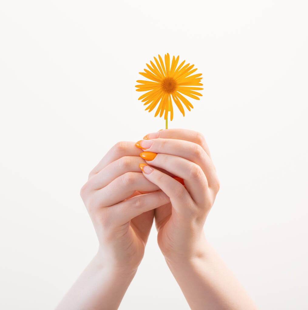 ženská ruka s manikúrou s květinou na bílém pozadí - Fotografie, Obrázek