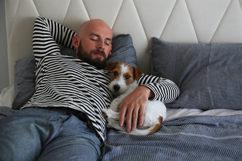 Retrato de un hombre barbudo acostado en la cama con su gato de pelo alambrado Russell Terrier. Concepto animal de apoyo emocional. Hombre adulto y su perro durmiendo juntos. Cerrar, copiar espacio, fondo. - Foto, Imagen