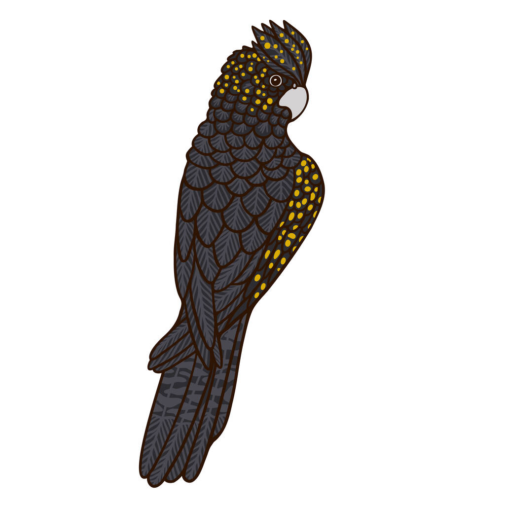 Cacatua preta personagem vetor de cor de pássaro australiano. Figura de visão traseira. Animal selvagem de corpo inteiro em branco. ilustração estilo cartoon simples - Vetor, Imagem