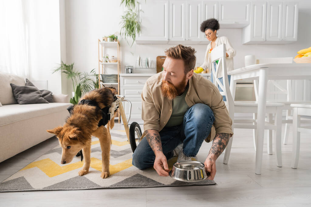 Bearded man putting bowl on floor near disabled dog and blurred african american girlfriend at home  - 写真・画像