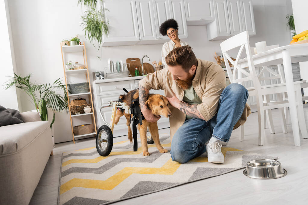 Homme barbu caressant chien handicapé en fauteuil roulant près du bol et floue petite amie afro-américaine à la maison  - Photo, image