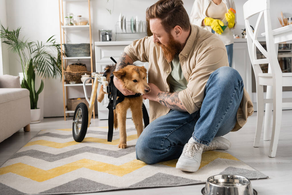 Szakállas férfi simogatás fogyatékkal élő kutya kerekesszék közelében tál a padlón otthon  - Fotó, kép