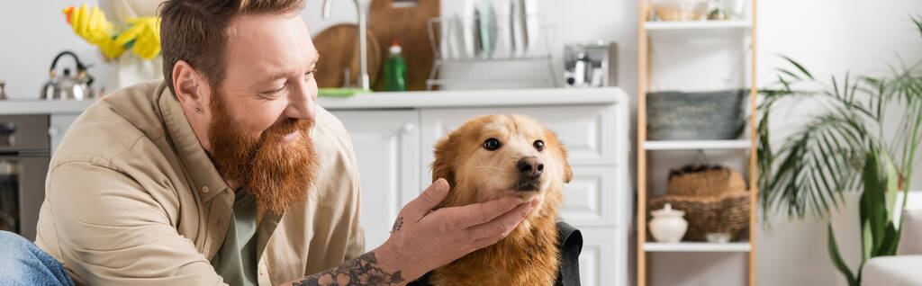 Alegre hombre con barba acariciando perro en cocina en casa, pancarta  - Foto, Imagen