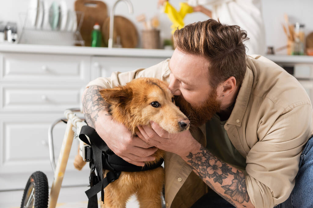 brodaty człowiek z tatuażem całuje słodkie kaleki pies na wózku inwalidzkim  - Zdjęcie, obraz
