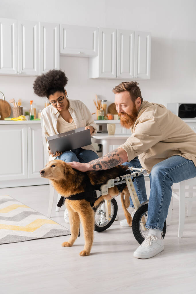 Smiling man petting handicapped dog near african american girlfriend with laptop in kitchen  - 写真・画像