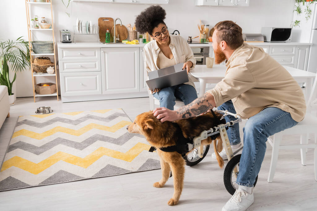 Africano americano mujer sosteniendo portátil y hablando con novio cerca discapacitado perro en casa  - Foto, imagen