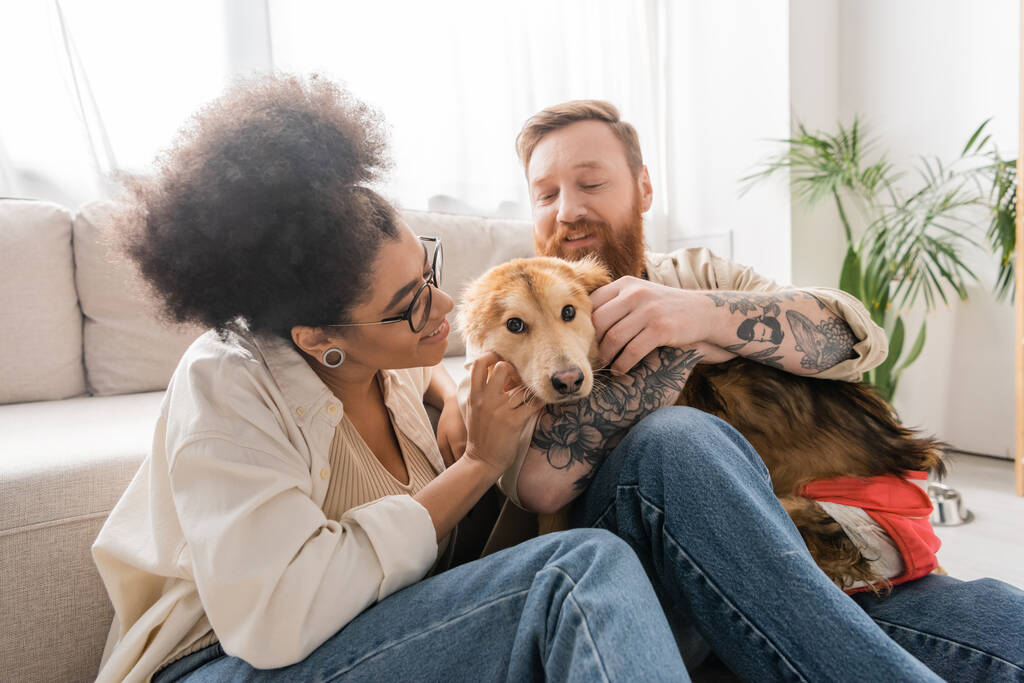 Vidám, többnemzetiségű petting mozgássérült kutya a nappaliban  - Fotó, kép