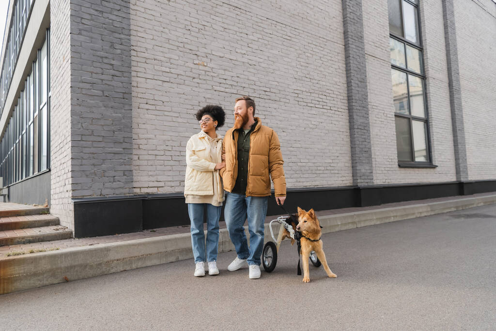 Sorrindo casal interracial com cão deficiente em pé na rua urbana  - Foto, Imagem