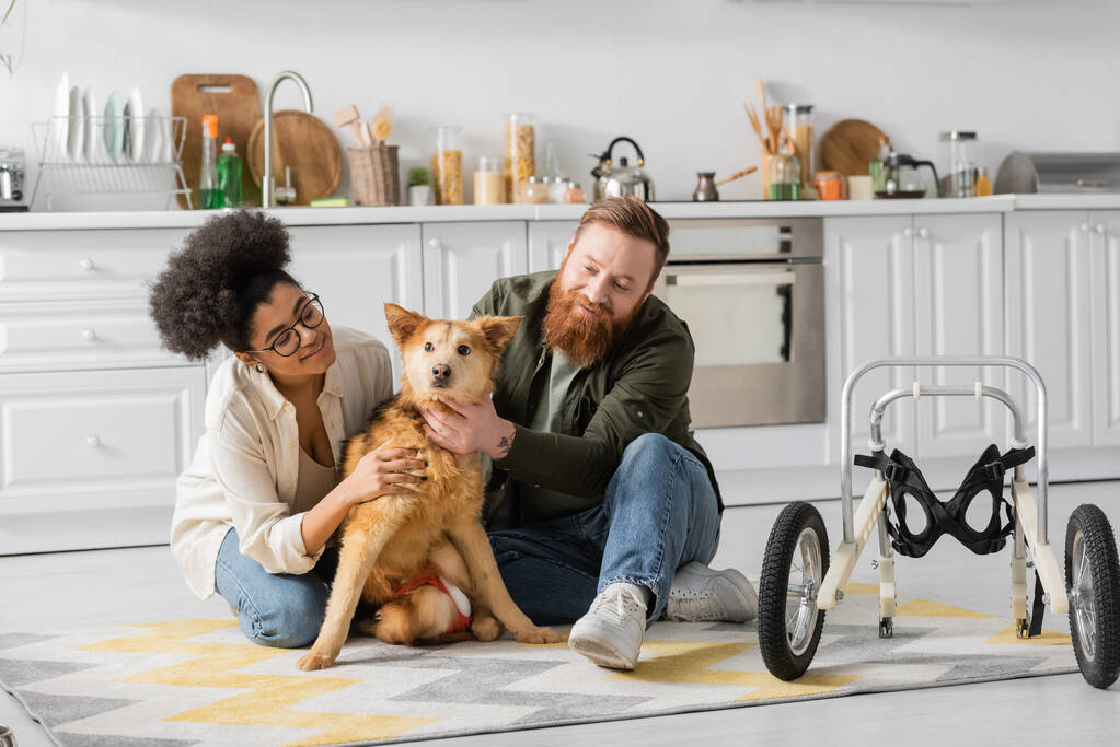 Positive multiethnic couple taking care of handicapped dog in kitchen  - Photo, Image