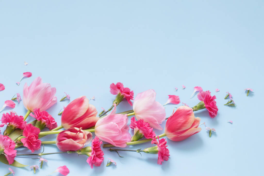 piękne wiosenne kwiaty na niebieskim tle - Zdjęcie, obraz