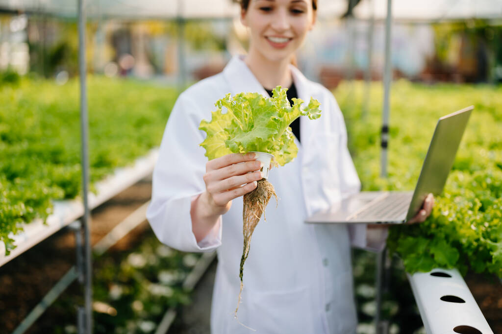 Researcher in white uniform are checking with ph strips in hydroponic farm and pH level scale graphic, science laboratory greenhouse concept.  - Photo, Image