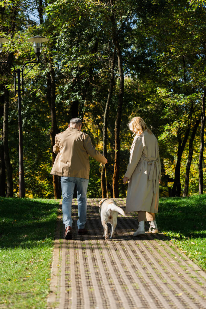 Pohled na zralý pár kráčející s labradorem na lávce v parku  - Fotografie, Obrázek