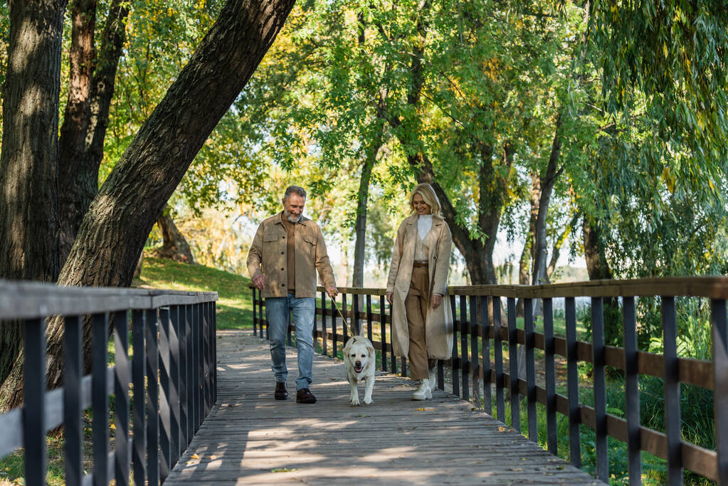 Happy middle aged couple walking near labrador on bridge in park  - Photo, Image