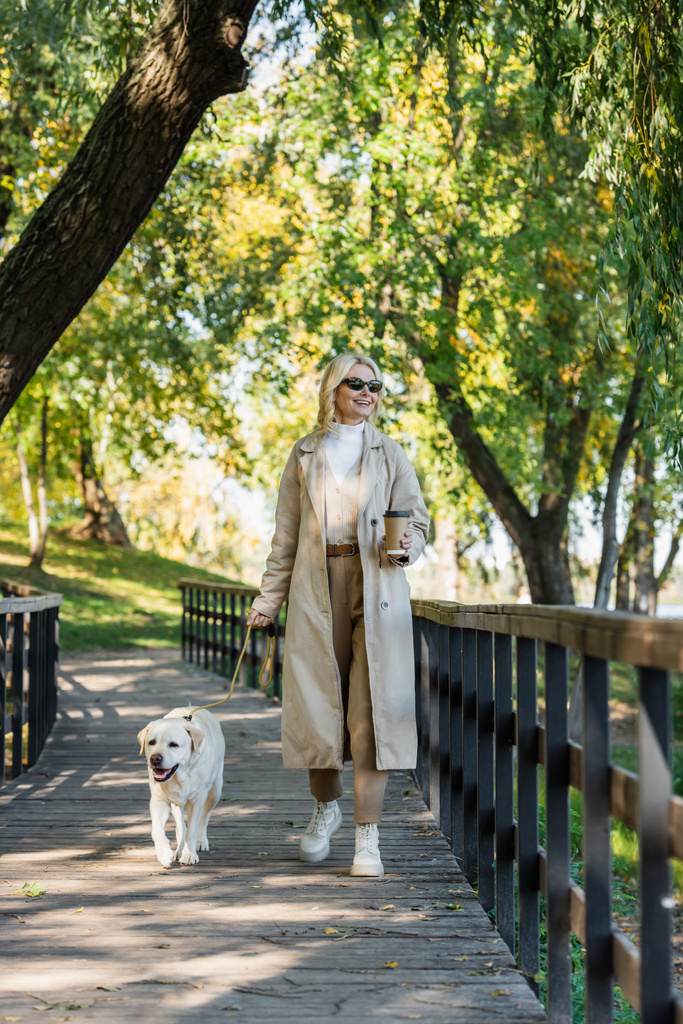 Reife Frau mit Sonnenbrille hält Pappbecher in der Hand und läuft mit Labrador auf Brücke im Park  - Foto, Bild