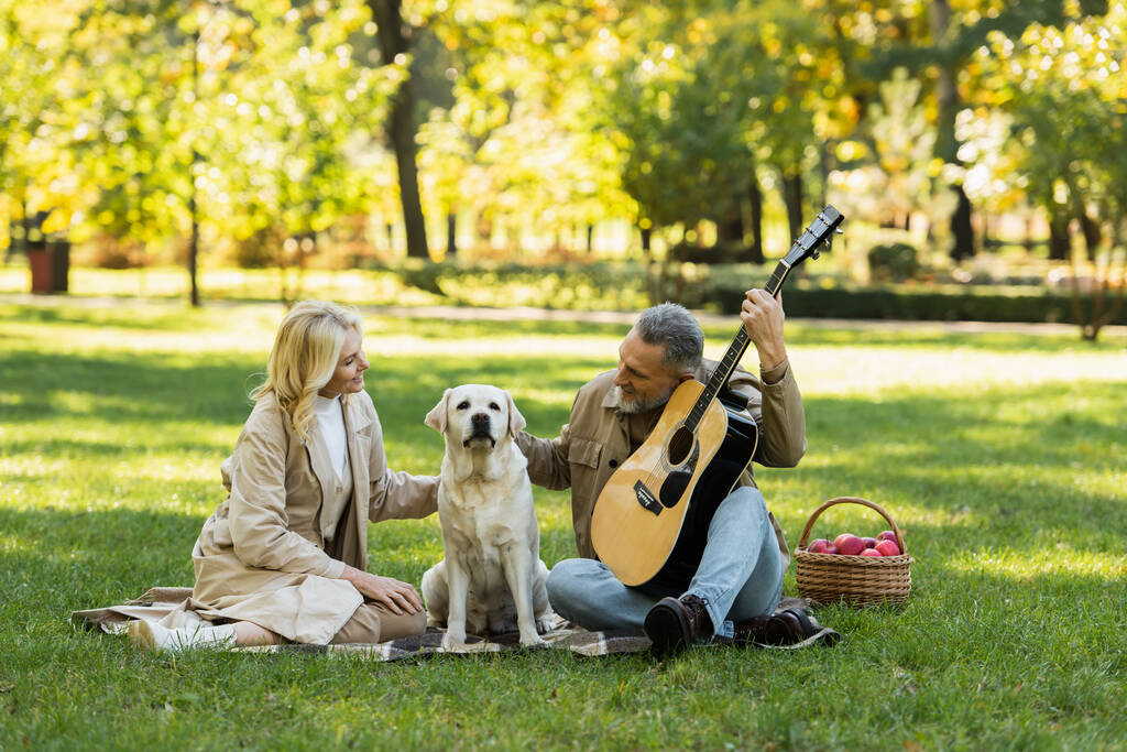 happy middle aged man playing acoustic guitar near blonde wife and labrador dog during picnic in park  - Photo, Image