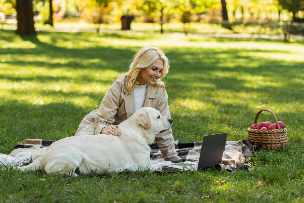 fröhliche Frau streichelt Labrador-Hund, während sie sich Film auf Laptop ansieht und auf Decke im Park sitzt  - Foto, Bild