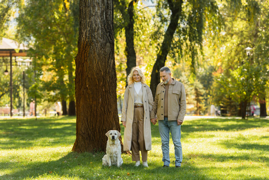 feliz casal de meia-idade em traje casual saindo com cão labrador no parque verde durante a primavera  - Foto, Imagem