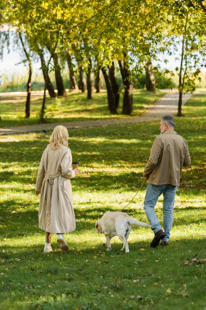 vue arrière du couple d'âge moyen sortant avec un chien labrador dans le parc au printemps  - Photo, image