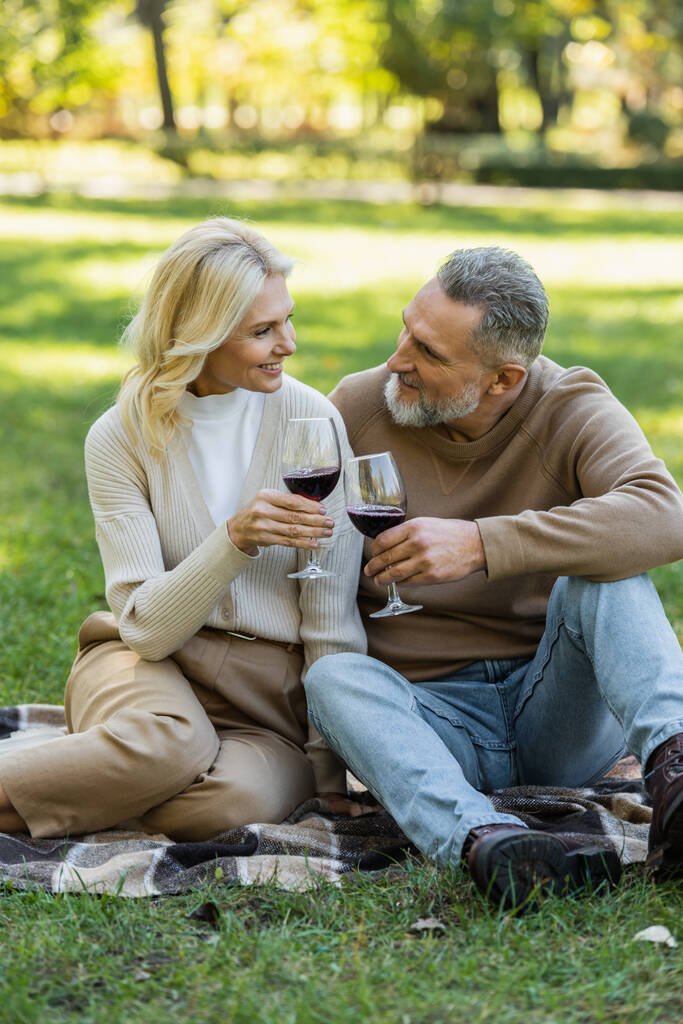 Mutlu orta yaşlı çift parkta piknik yaparken kırmızı şarapla kadeh tokuşturuyor.  - Fotoğraf, Görsel