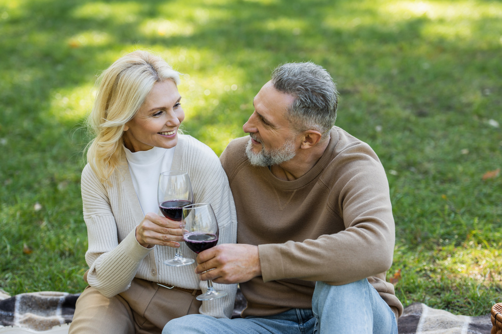überglückliches Paar mittleren Alters, das beim Picknick im grünen Park Gläser mit Rotwein klingelt  - Foto, Bild