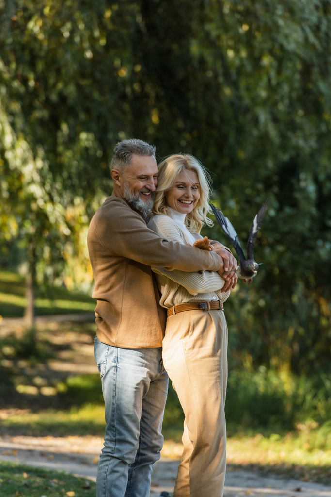 potěšený muž středního věku objímající blondýny manželka v blízkosti létající holub v parku  - Fotografie, Obrázek