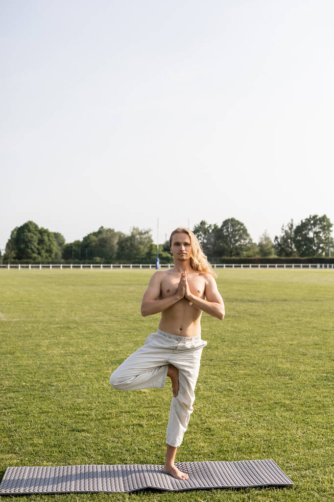 longitud completa del hombre sin camisa en pantalones de lino de pie en pose de árbol con gesto de anjali mudra mientras practica yoga en el campo verde - Foto, Imagen